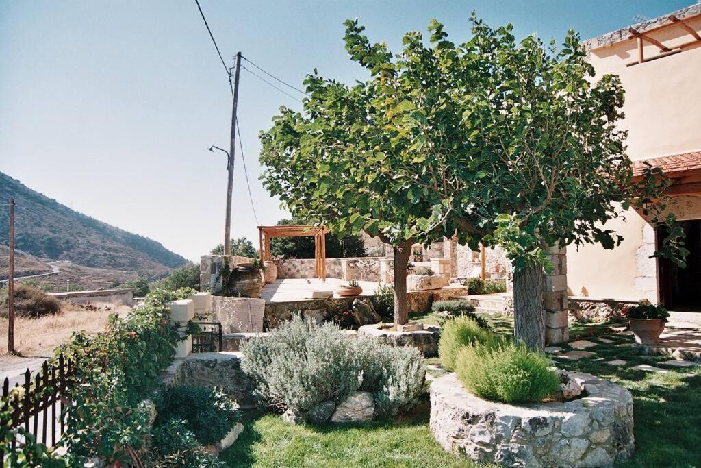 Traditional Villa With Pool In Sfakia Imbros Exterior photo